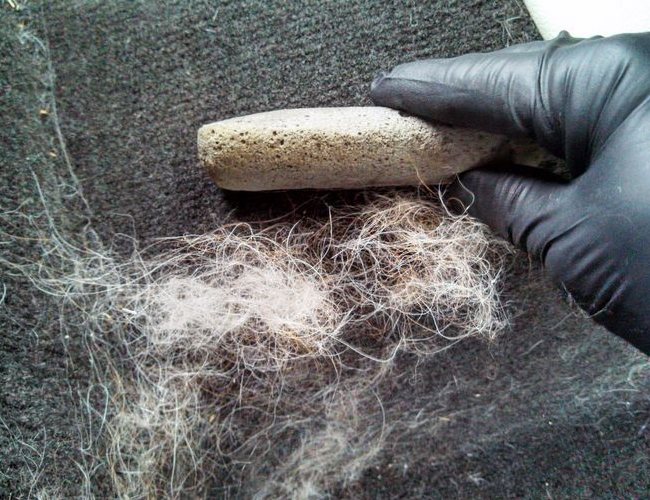 EXTRA PELOS - Tsunami Carwash